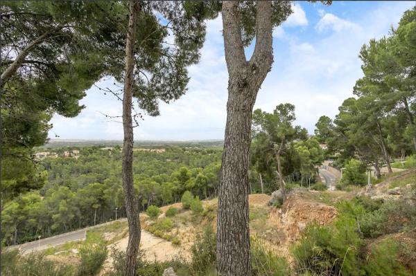 Terreno en Urbanización el Bosque, 12