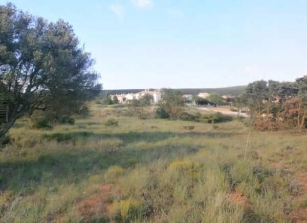 Terreno en plaza n 02