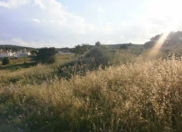 Terreno en plaza n 02