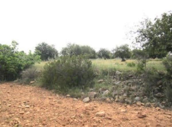 Terreno en camino de Los Visos