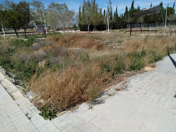 Terreno en camino Gestalgar
