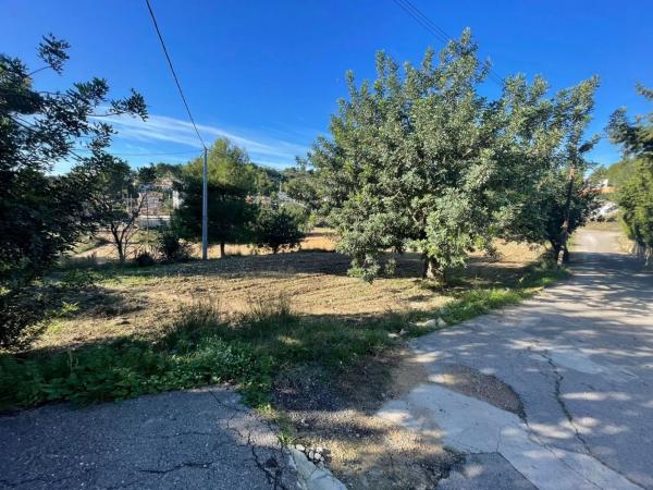 Terreno en calle Vista Alegre