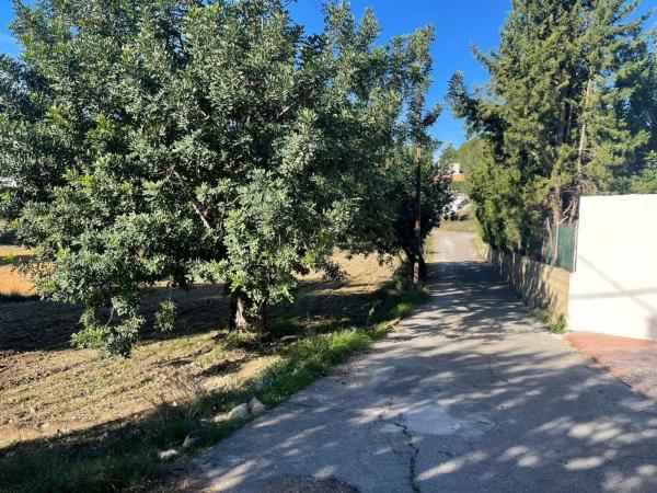 Terreno en calle Vista Alegre