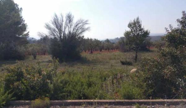 Terreno en calle Llanorel