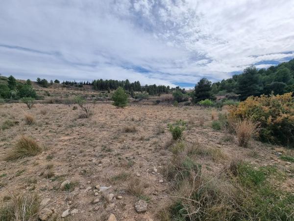 Terreno en Alborache