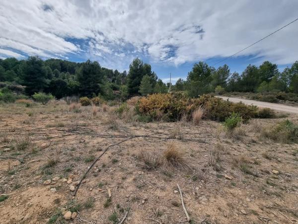 Terreno en Alborache