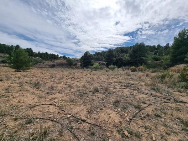 Terreno en Alborache