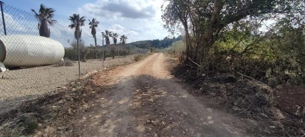 Terreno en plaza Numero 14