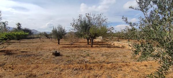 Terreno en plaza Numero 14