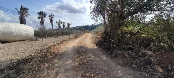 Terreno en plaza Numero 14