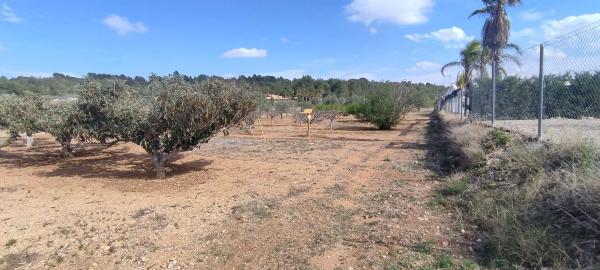 Terreno en plaza Numero 14