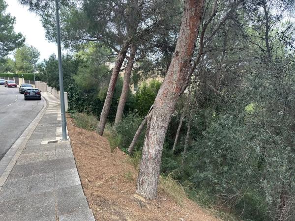 Terreno en calle 19, 3