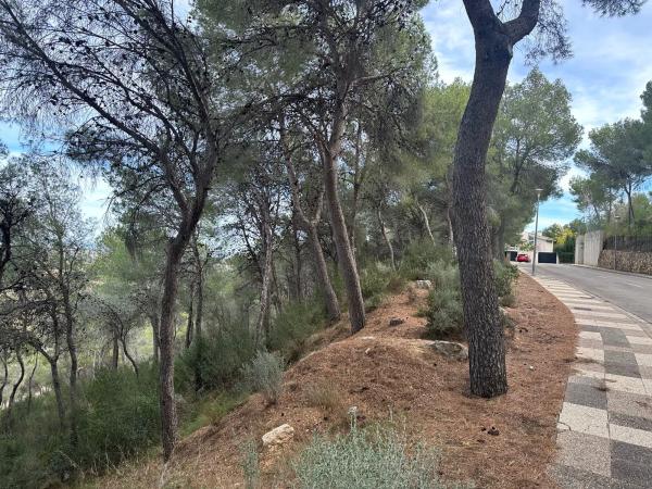 Terreno en calle 19, 3