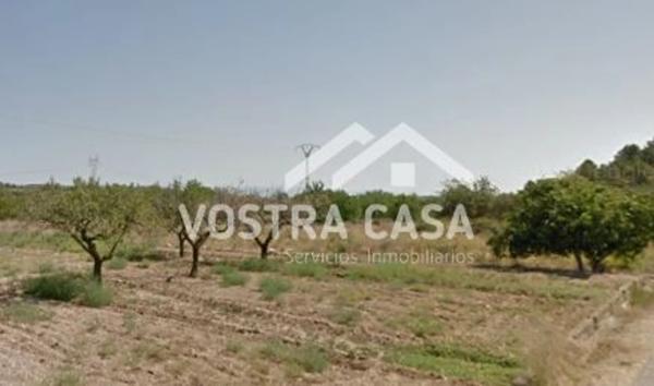 Terreno en Buñol