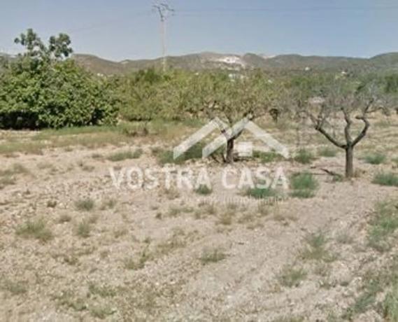 Terreno en Buñol