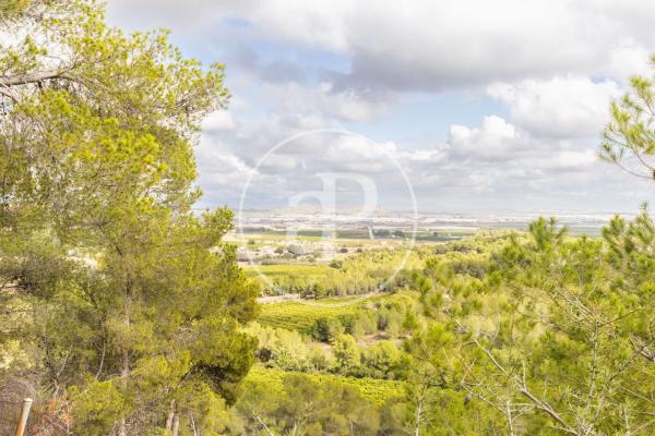 Terreno en El Bosque
