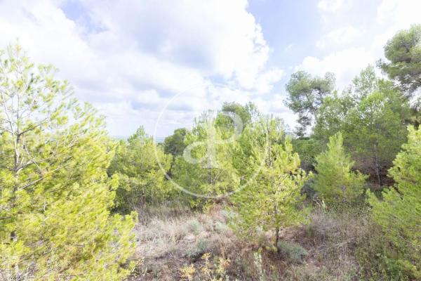 Terreno en El Bosque