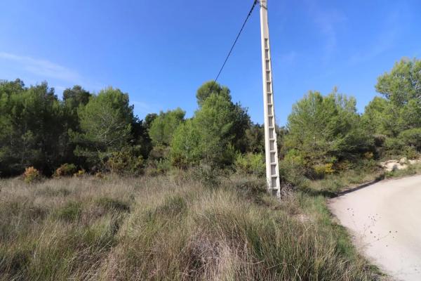 Terreno en Alborache