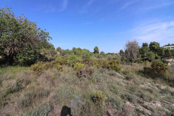 Terreno en Alborache