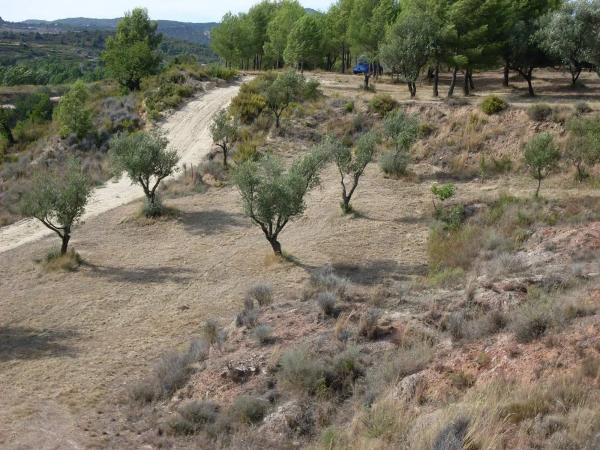 Terreno en Diseminado P003, 357