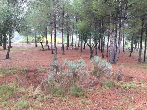 Terreno en Diseminado P003, 357