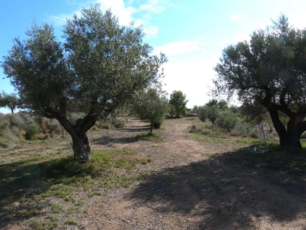 Terreno en Diseminado P003, 357