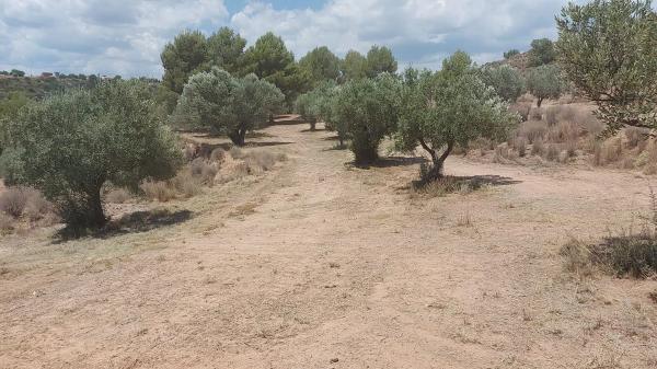 Terreno en Diseminado P003, 357