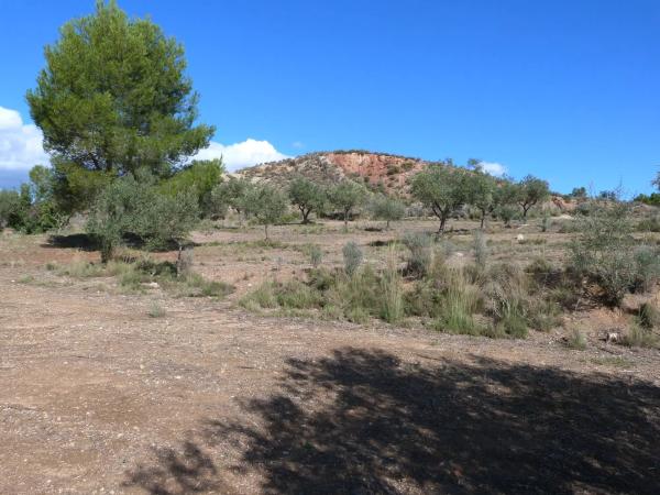 Terreno en Diseminado P003, 357