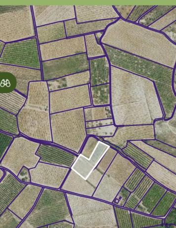 Terreno en Poligono 5, 106