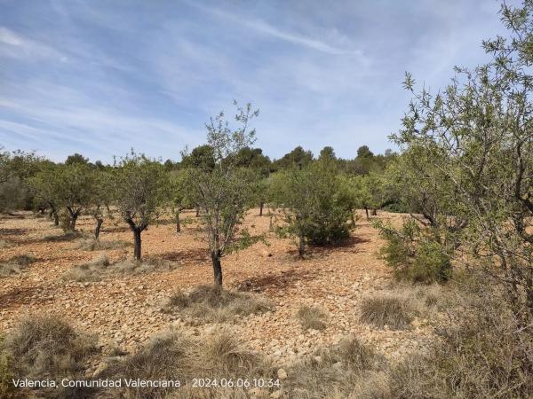 Terreno en Parcelas 346 y 348 Polígono 10, 346 ParcelasyPolgono