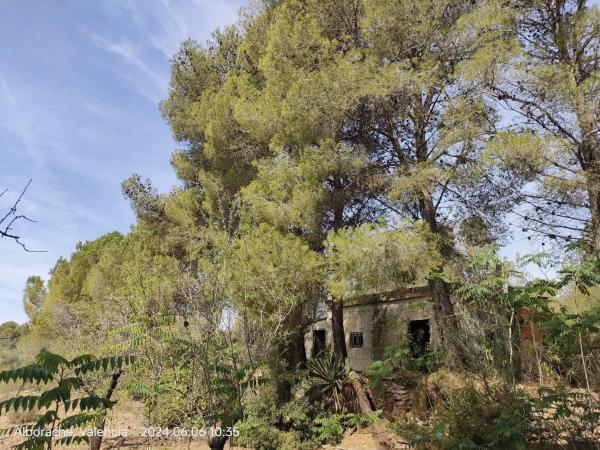 Terreno en Parcelas 346 y 348 Polígono 10, 346 ParcelasyPolgono