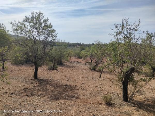 Terreno en Parcelas 346 y 348 Polígono 10, 346 ParcelasyPolgono
