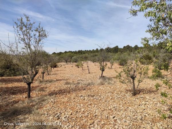 Terreno en Parcelas 346 y 348 Polígono 10, 346 ParcelasyPolgono