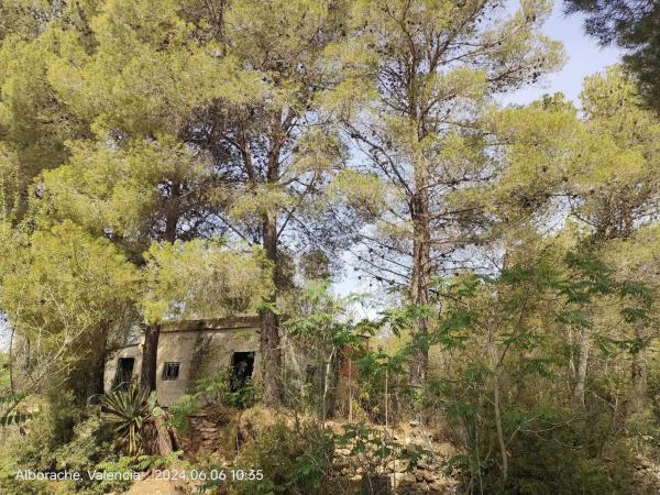 Terreno en Parcelas 346 y 348 Polígono 10, 346 ParcelasyPolgono