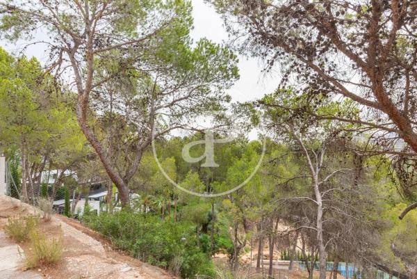 Terreno en El Bosque