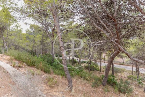 Terreno en El Bosque