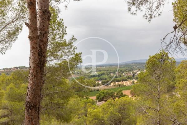 Terreno en El Bosque
