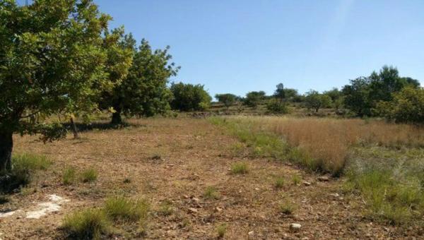 Terreno en plaza Numero 15