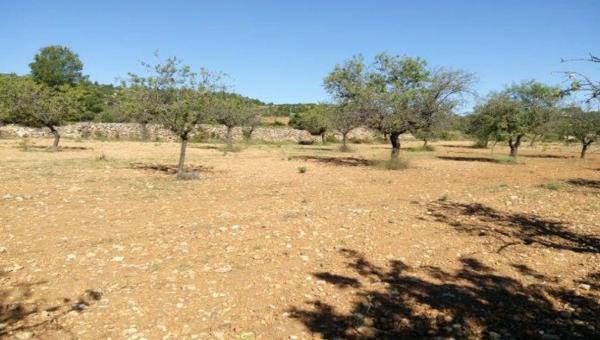 Terreno en Colonia Cañada del Charco