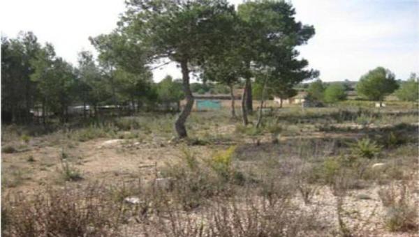 Terreno en calle Asturias