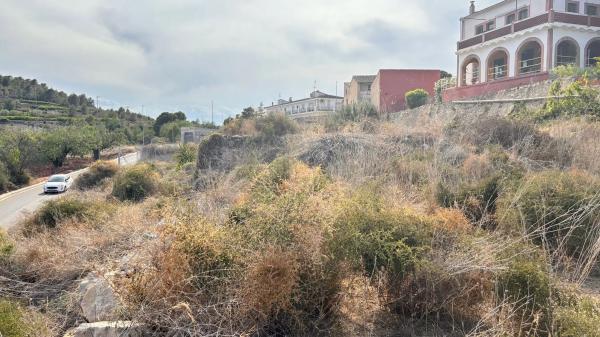 Terreno en calle Virgen del Carmen