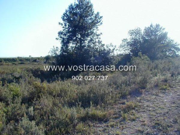 Terreno en calle la Yesa