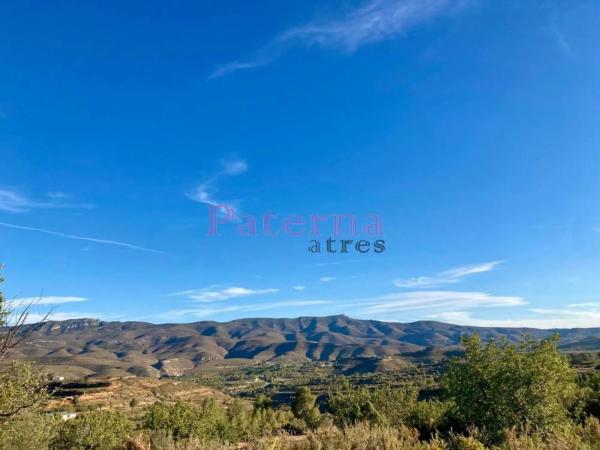 Terreno en plaza Numero 01, 552