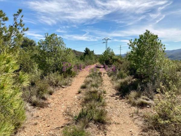 Terreno en plaza Numero 01, 552