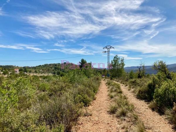 Terreno en plaza Numero 01, 552