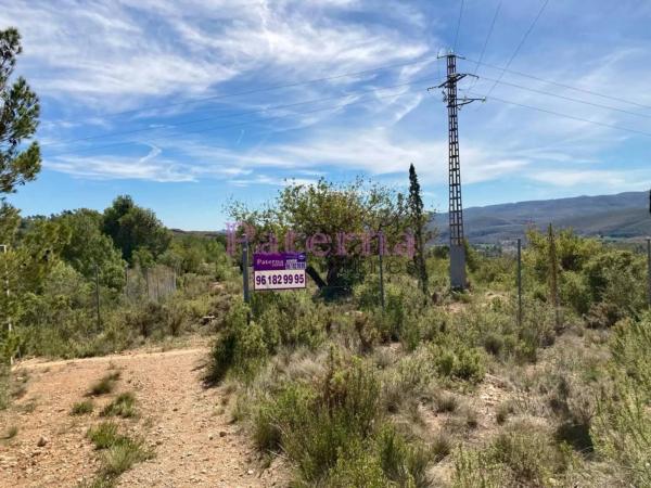 Terreno en plaza Numero 01, 552