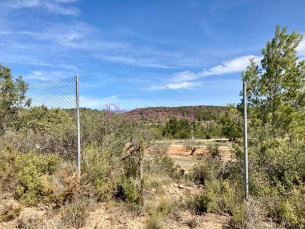 Terreno en plaza Numero 01, 552