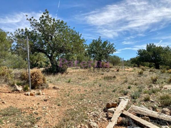 Terreno en plaza Numero 01, 552