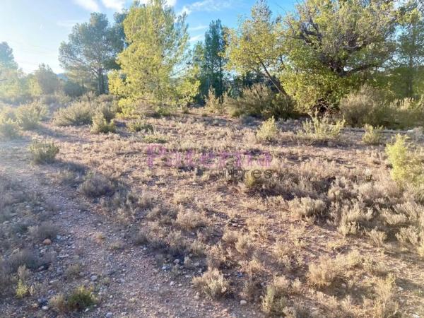 Terreno en plaza Numero 01, 552