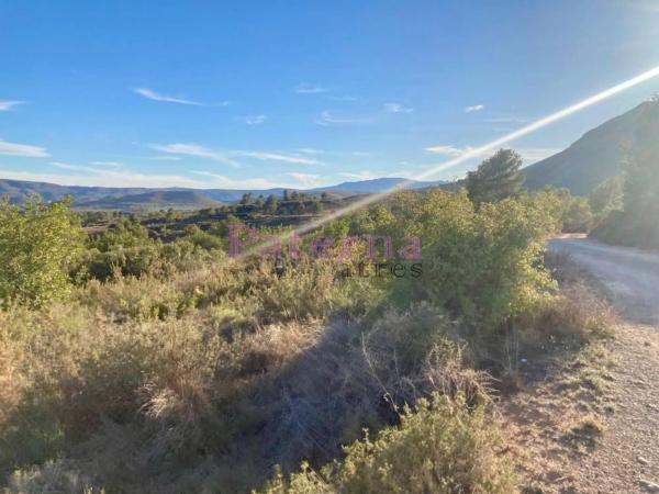 Terreno en plaza Numero 01, 552